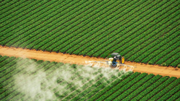 Best Pest Removal Services  in New Concord, OH
