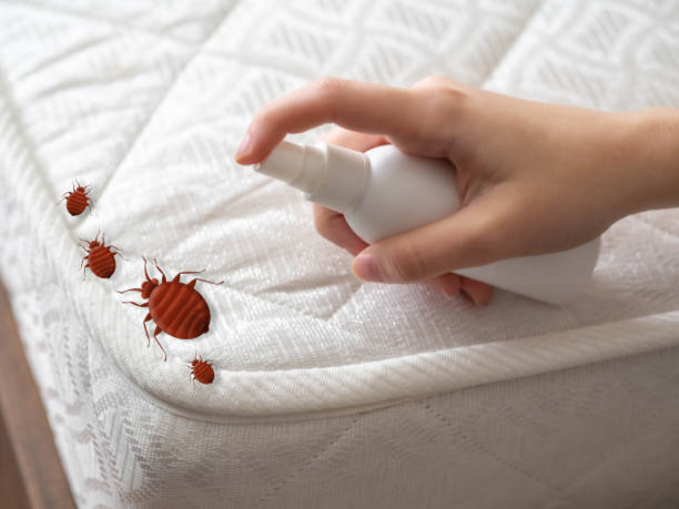 Professional Pest Control in New Concord, OH