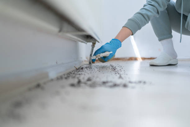 Best Commercial Pest Control Services  in New Concord, OH